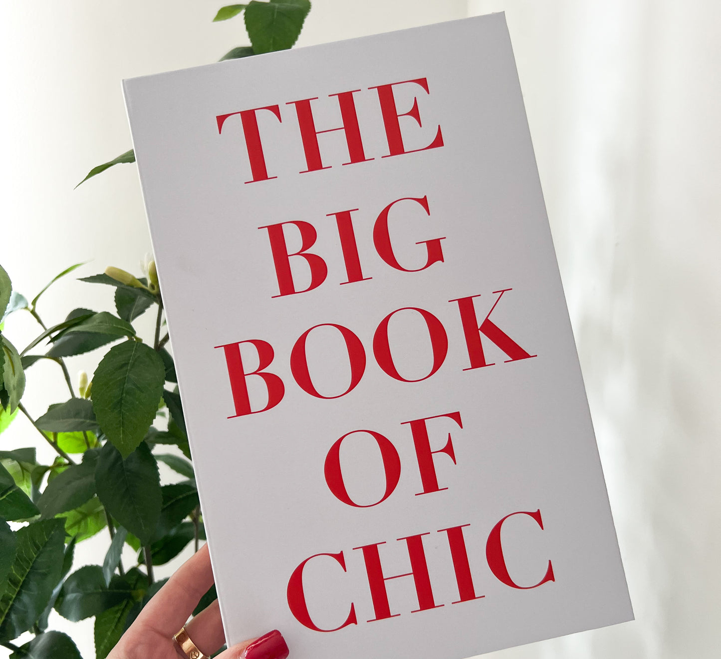 THE BIG BOOK OF CHIC Book Box