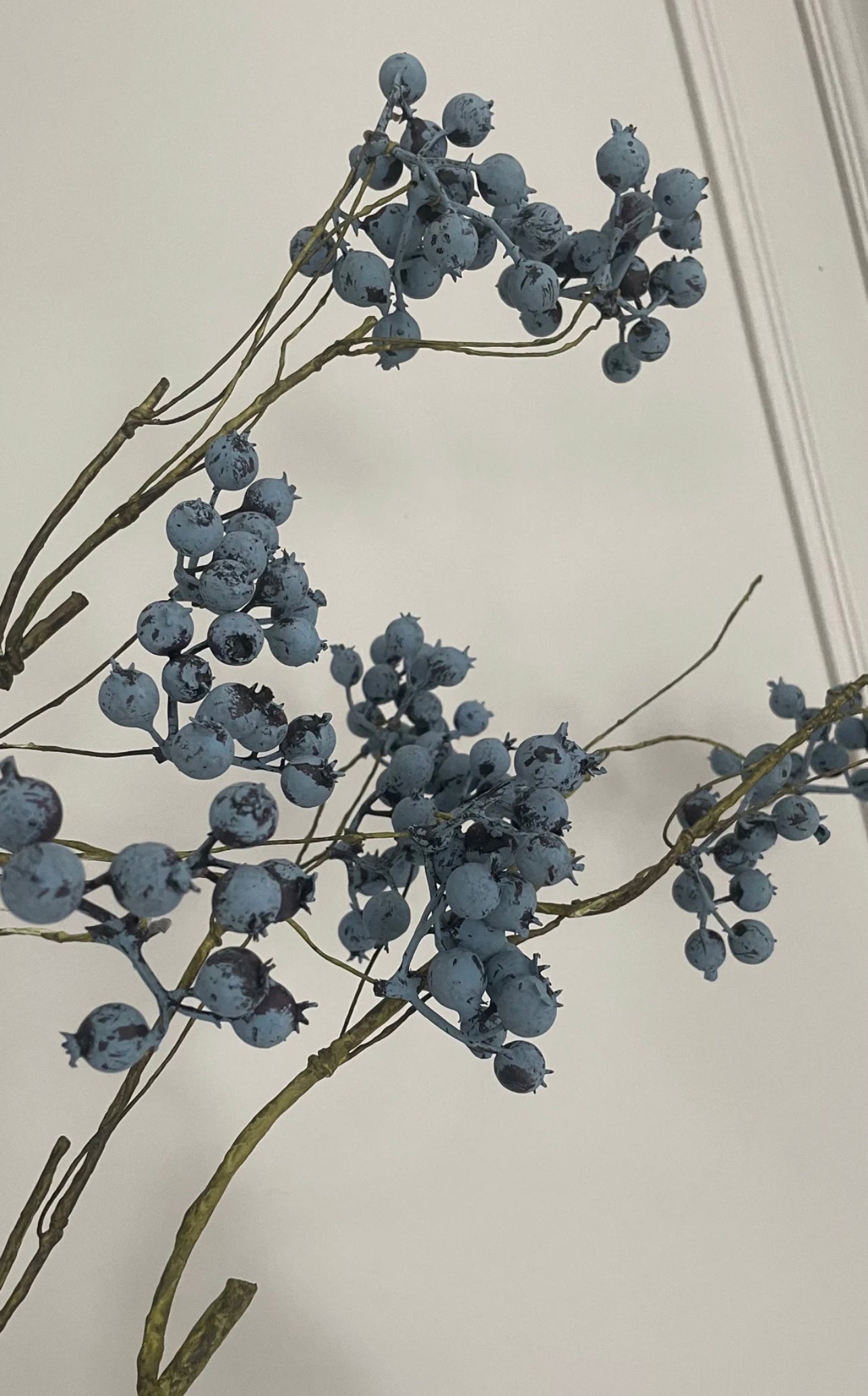 Luxury Blue Berries Home Decor