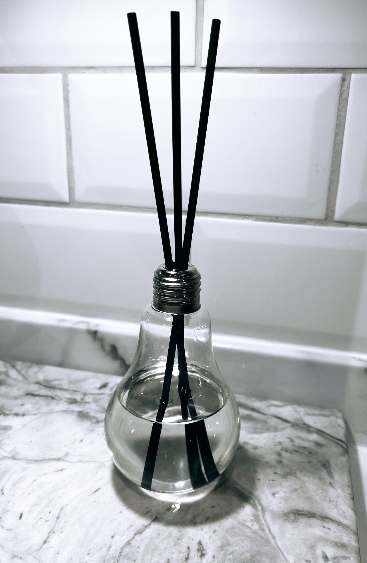 Light Bulb Diffuser / Vase