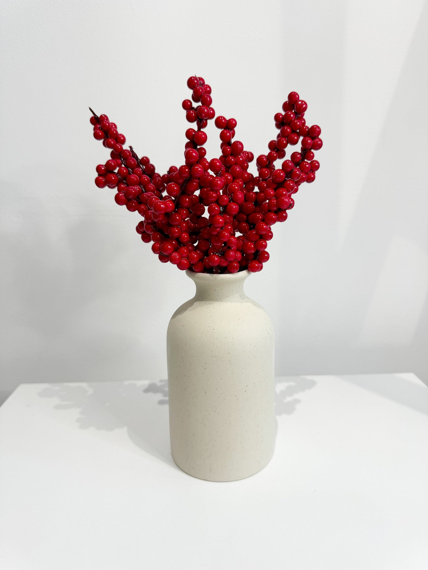 Red Berries and Vase