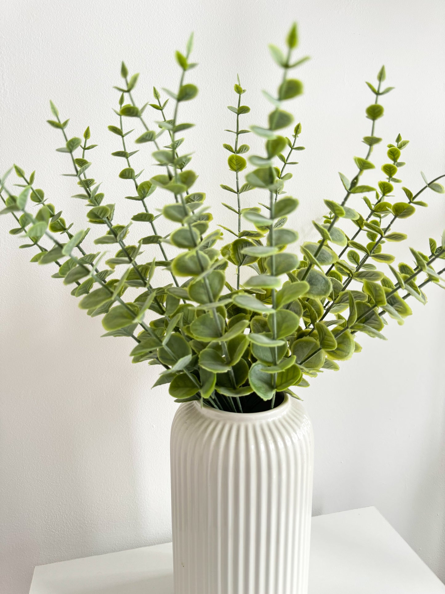 Green Eucalyptus Leaves