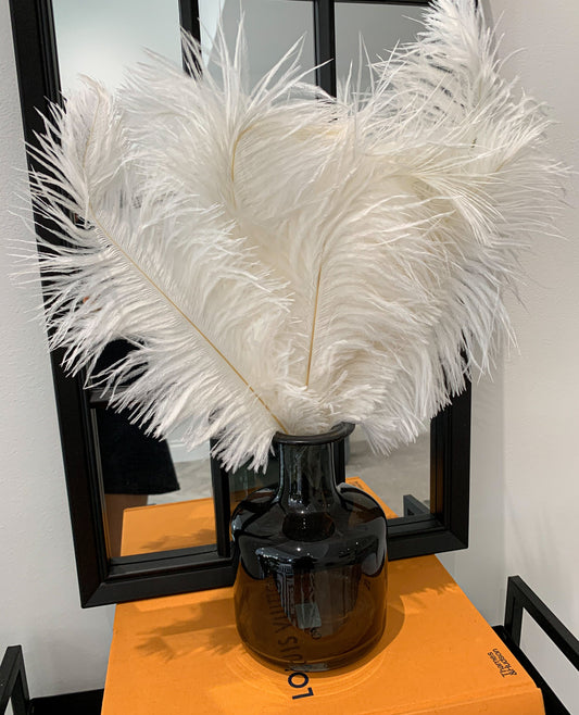 Large white fluffy feathers