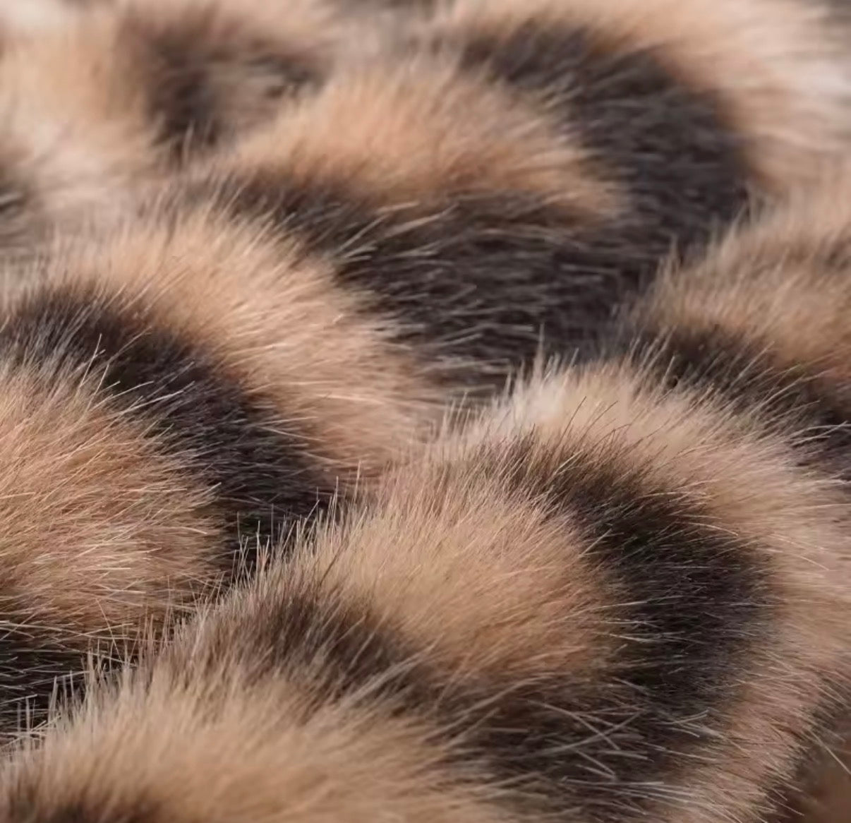 Leopard Print Cushion Cover