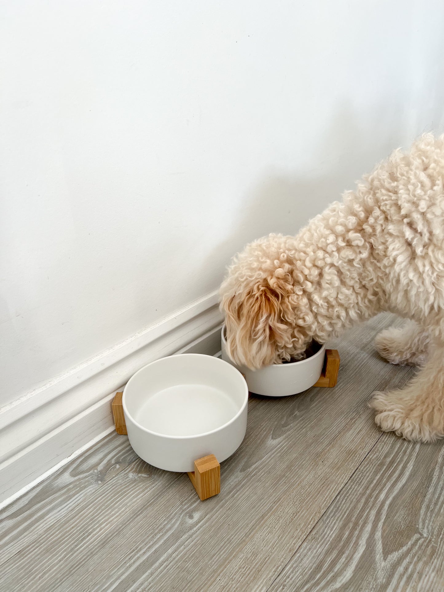 White Ceramic Pet Feeder - Two Bowls and Stand