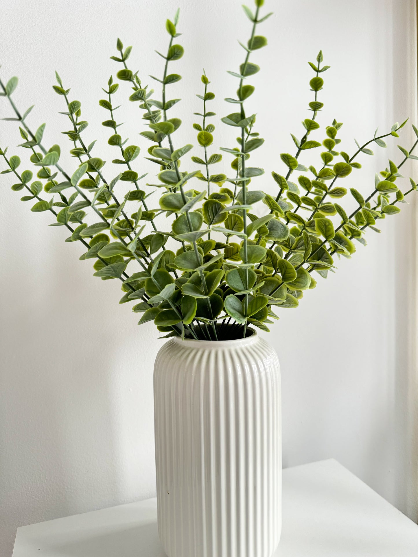 Green Eucalyptus Leaves