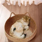 Woven Cat Bed