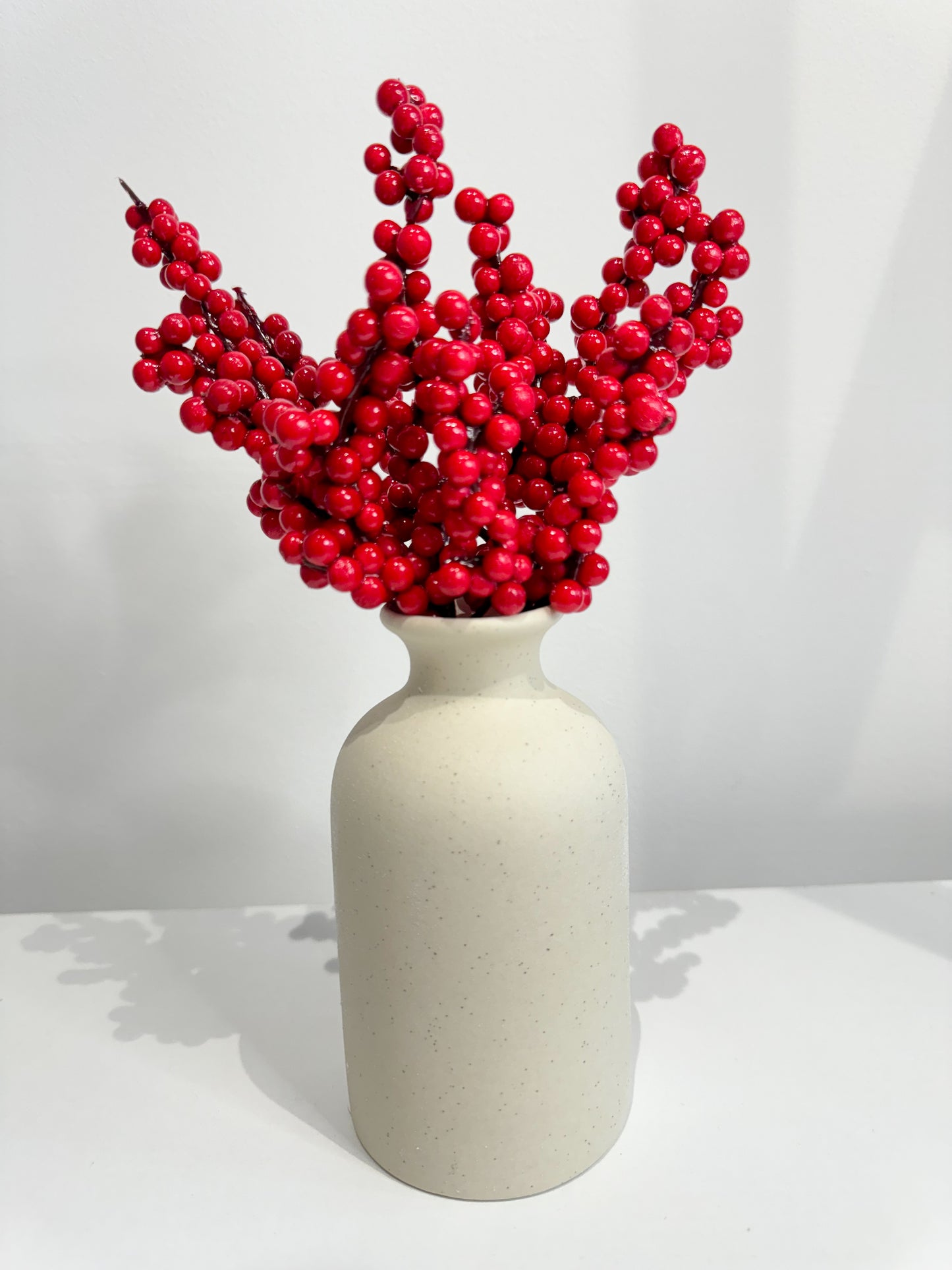 Red Berries and Vase