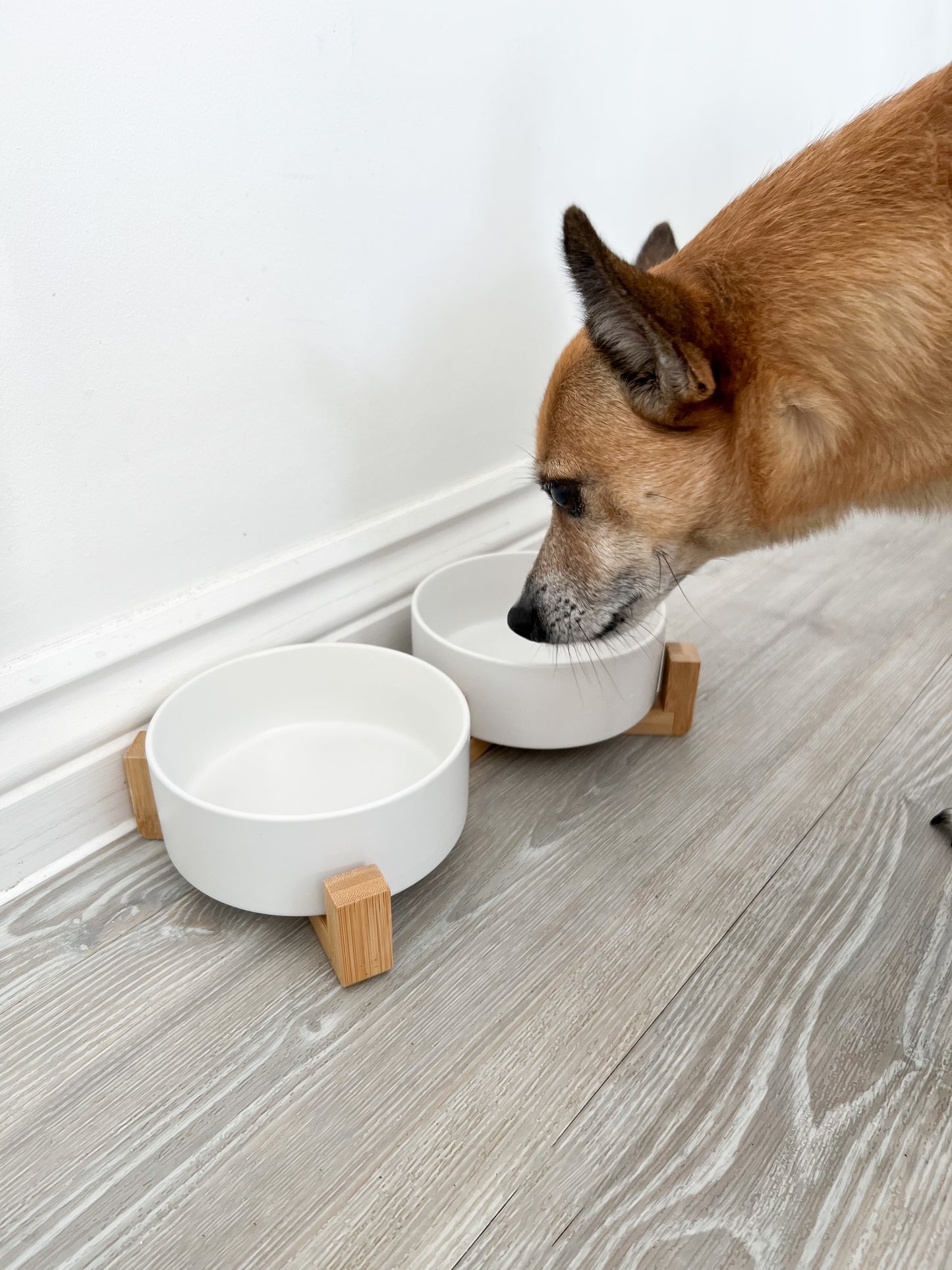 White Ceramic Pet Feeder - Two Bowls and Stand