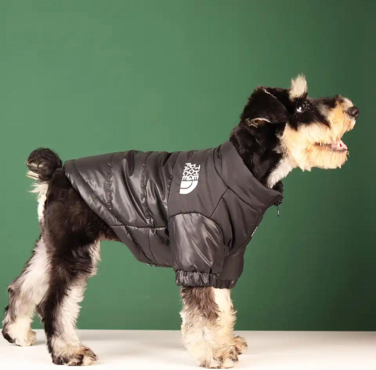 DOG FACE Pet Puffer Coat