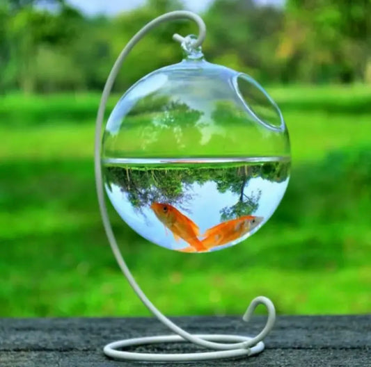 Hanging Fish Tank