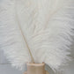 Large white fluffy feathers