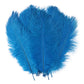 Blue fluffy feathers