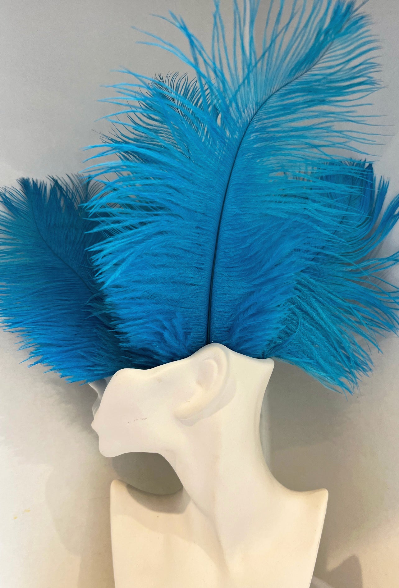 Blue ostrich clearance feathers