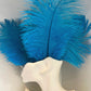 Blue fluffy feathers