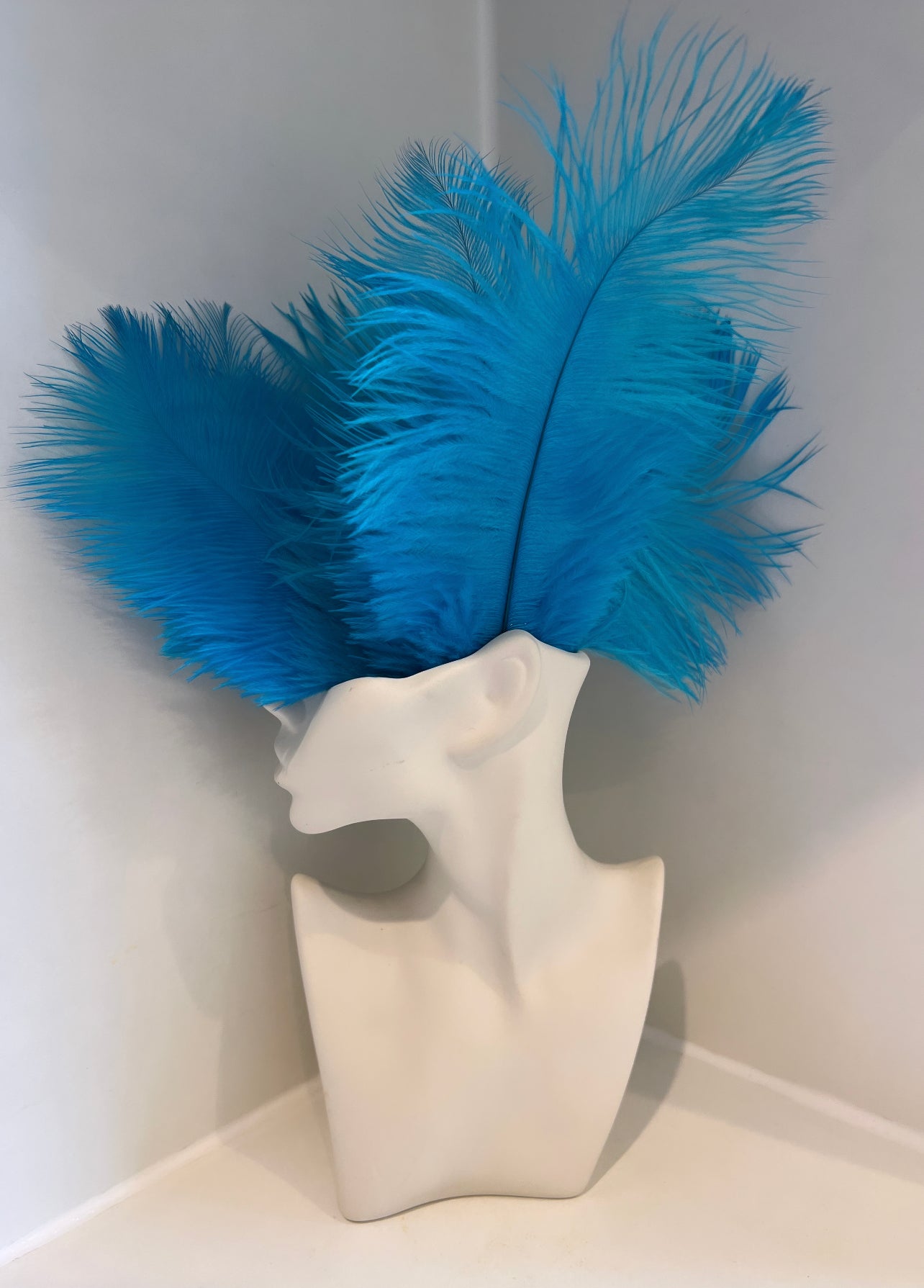 Blue fluffy feathers